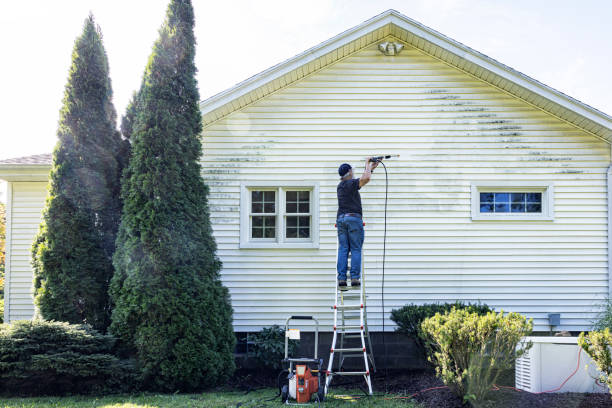 Best Fence Cleaning and Maintenance in Camanche, IA